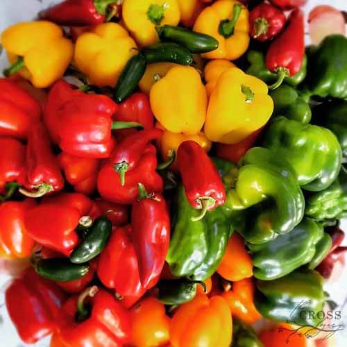 the-right-way-to-store-bell-peppers