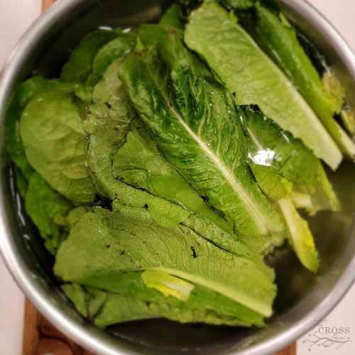 Lettuce washing and storing instructions