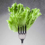 how to keep lettuce fresh for weeks - lettuce hacks