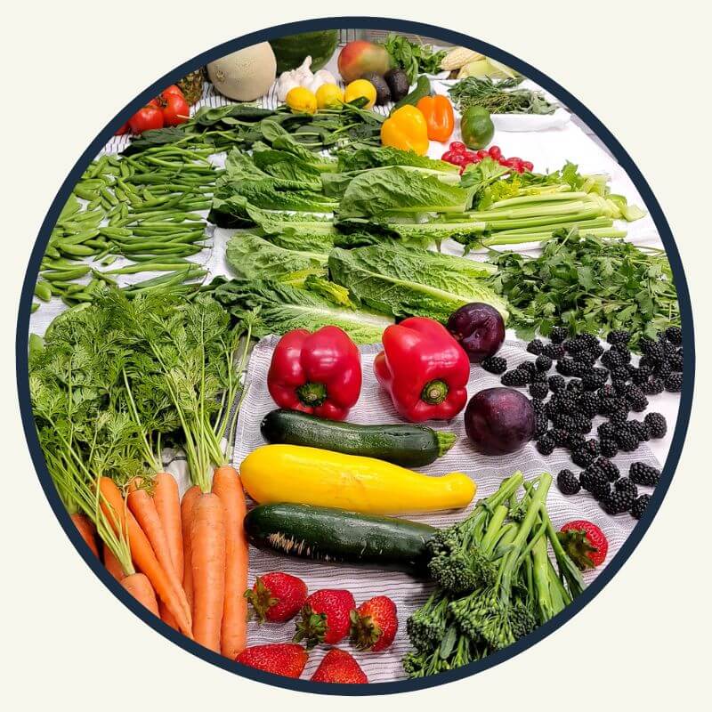 Circle photo of veggies drying on the counter