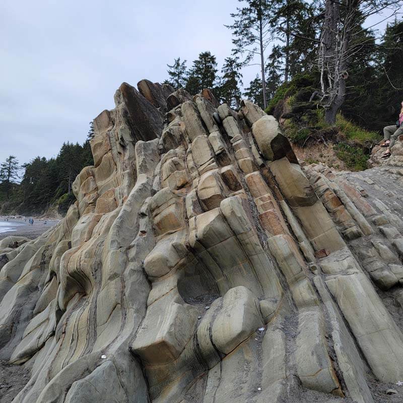 Beach #4 Tree of Life