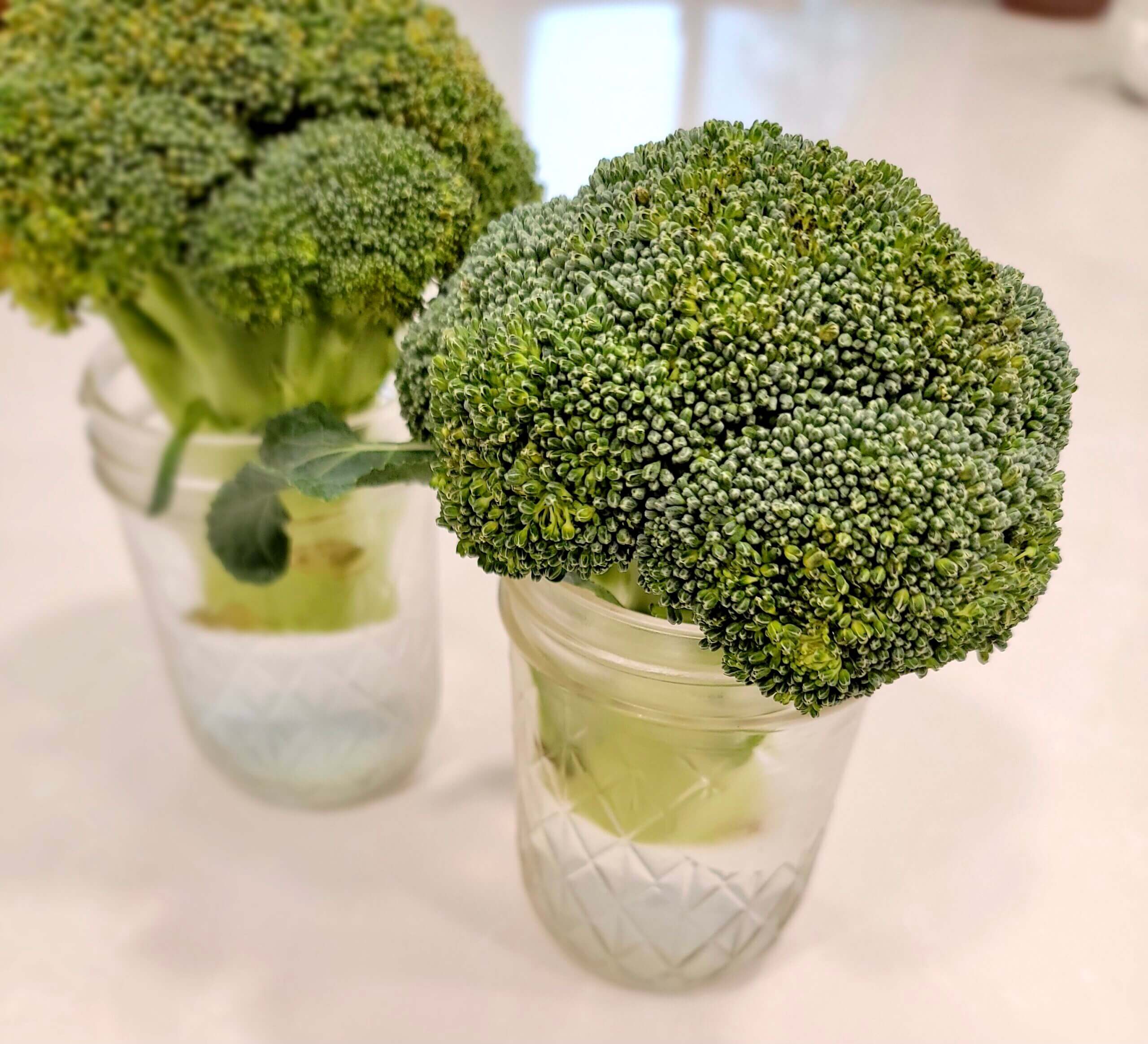 How to Store Broccoli So It Stays Fresh Longer
